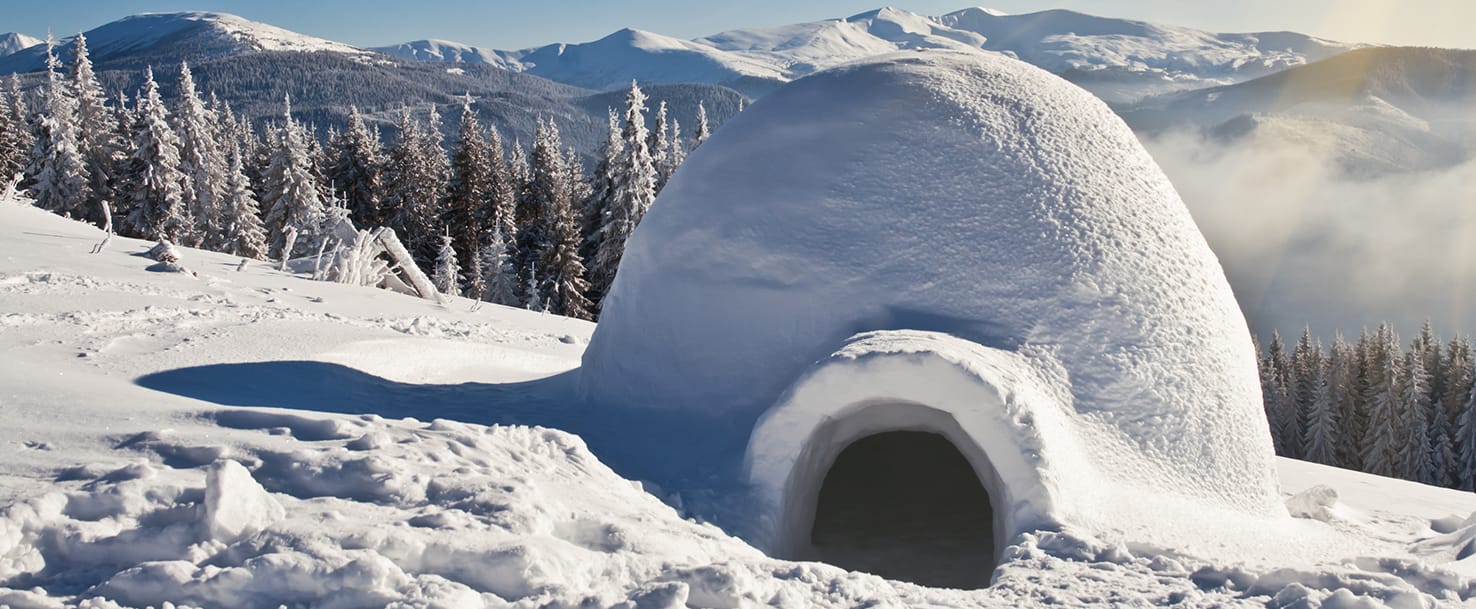 14 What is an Igloo? Smrt English